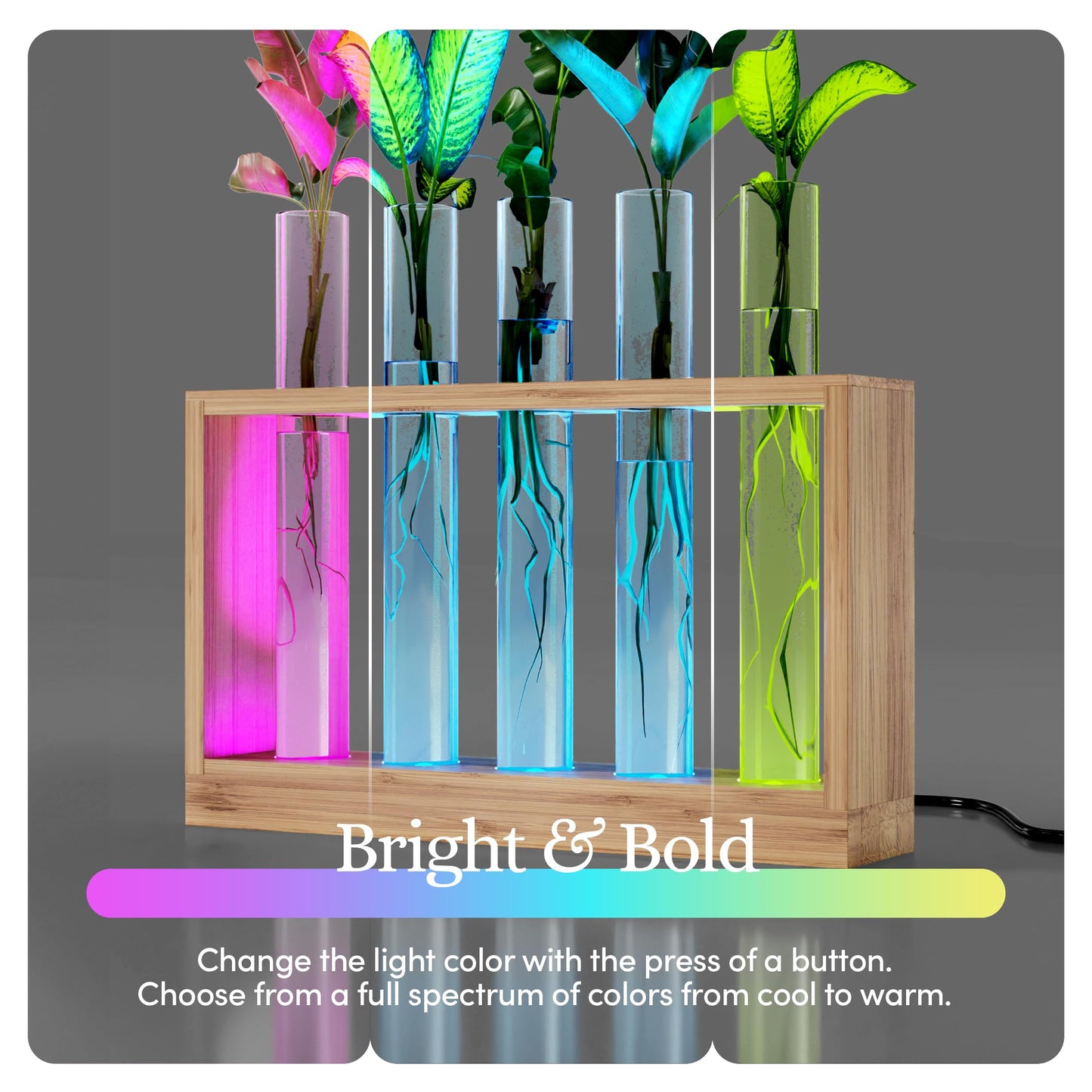 Light Up Bamboo Vial Air Planter - Plant Lover Easter Gifts for Women, Best Indoor Gardening House Warming Gift Ideas, Office New Home Decor, Mom, Grandma, Mothers Day, Friend, Birthday, Garden Plants